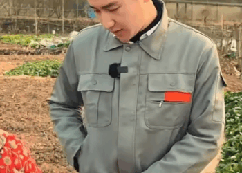 A2811004 女人带着孩子上班 意外遇到等待多年的人 #熱播短劇 #情感故事 #正能量 #霸道總裁 part2