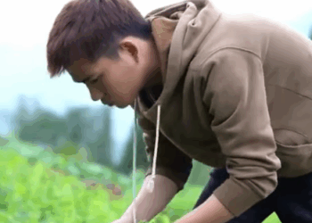 D2811004 時隔五年窮小伙衣錦還鄉 看到相愛的女孩已經成為人母 心痛萬分卻是一場誤會 part2