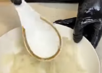 C2612004 今天邱姐用一個小時做了12道精美早餐 真的又被邱姐的廚藝給征服了 鳳霞也默默的做著家務 現在的家里真幸福 #記錄真實生活 #美食 #保姆 #日常vlog part2