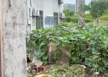 E2201024 百善孝為先 父母養我們小我 我們就該養他們老啊 #劇情 #正能量 #情感 part2