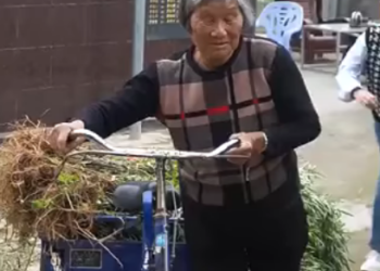 C0501004 Video 947248622980038 part2